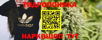 экстази Сланцы