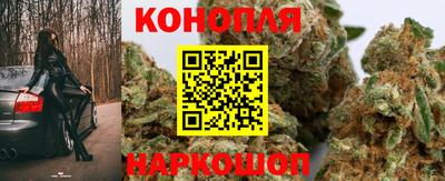 Альфа ПВП Славгород