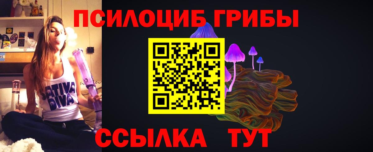 Буйнакск  Псилоцибиновые грибы GOLDEN TEACHER  как найти   Вход с VPN 